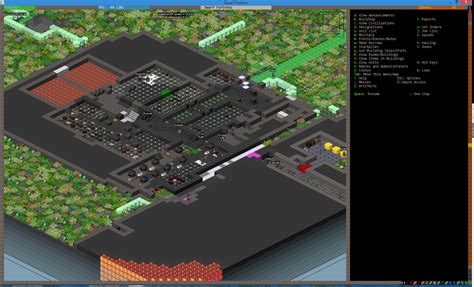 Dwarf Fortress